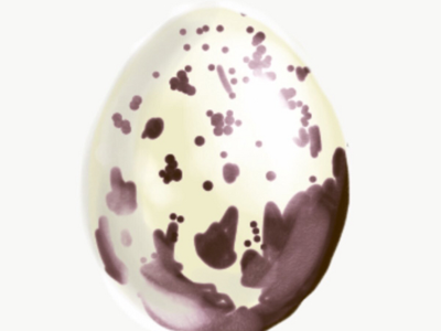 Egg study doodle egg nature shading sketch study