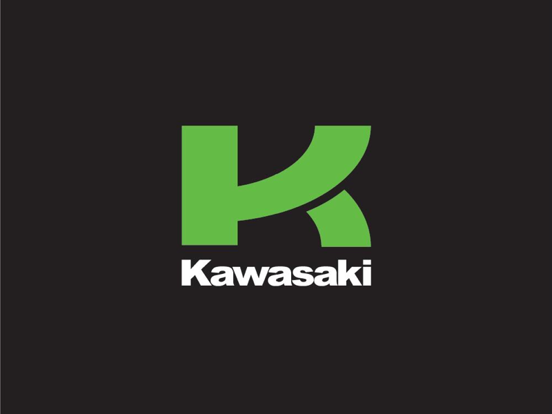Buy Kawasaki Emblem Decal 8568342 - Made In Japan Online in India at Best  Prices