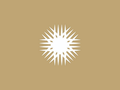 Sun logo icon concept