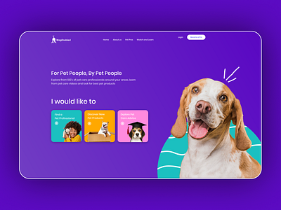 Pet Application pet pet care ui web design