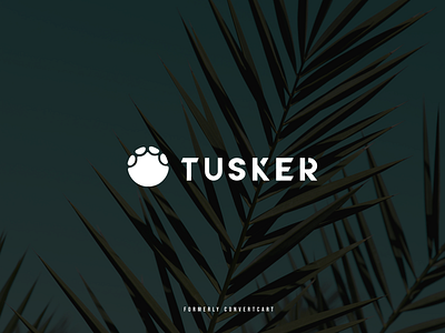 Tusker branding design illustration india logo logodesign logotype typography vector