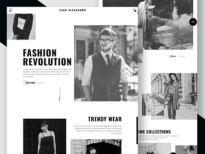 Fashion website Design