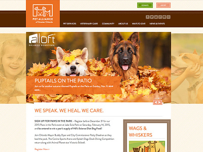 Pet Alliance of Greater Orlando - User Interface / Web Design brand branding design graphic design user experience user interface web design