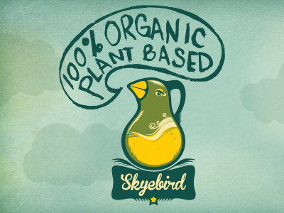 Skyebird Juice Bar & Experimental Kitchen bird branding hand drawn type illustration organic type typography vector illustration