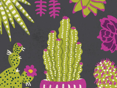 Succulent Garden v1 cactus digital illustration floral flowers hand drawn handmade illustration pattern pen and ink succulents texture vector