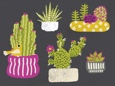 Succulent Garden v2 cactus digital illustration flowers hand drawn handmade illustration pattern pen and ink put a bird on it succulents texture vector