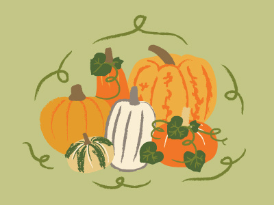 fall harvest 2 digital illustration fabric fall harvest illustration product design pumpkins textile texture vector vegetables