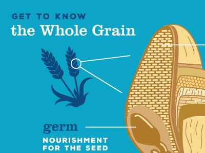 the whole grain design diagram digital illustration food foodie grains icons illustration infographic typography vector whole grains