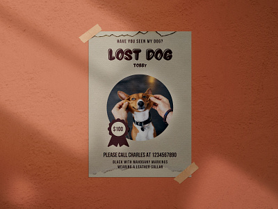 A dog has been lost ( a flyer design ) dogs flyer flyer design photoshop