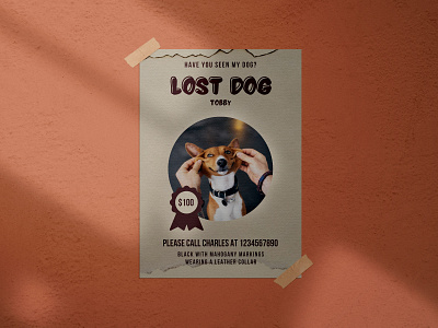 A dog has been lost ( a flyer design )