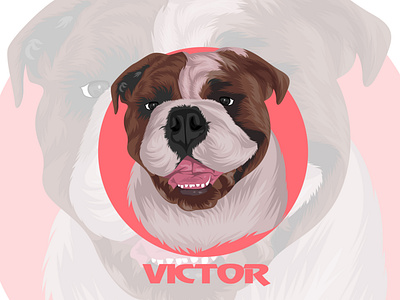 Dog illustration for a client