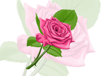 Vector illustration of a pink rose