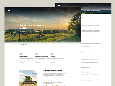 AgroAmerica website ui ux