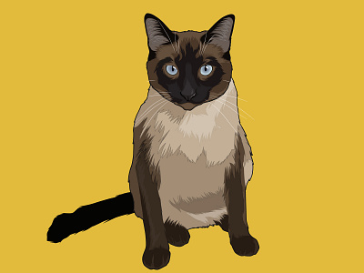 Siamese cat adobe illustrator cartoon cat pets portrait vector vectorart