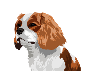 Pet drawing cartoon character cartoon design dog illustration dogs drawing illustration pets portrait vector
