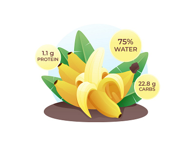 Benefits of Bananas - Free illustration 02