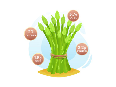 Benefits of Asparagus - Free Illustration 05