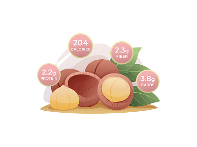 Benefits of Macadamia - Free Illustration 02 design food free download free illustration free vector freebie illustration illustrator macadamia macadamia benefits macadamia illustration macadamia vector nutrition nuts vector vector design vector download vector illustration