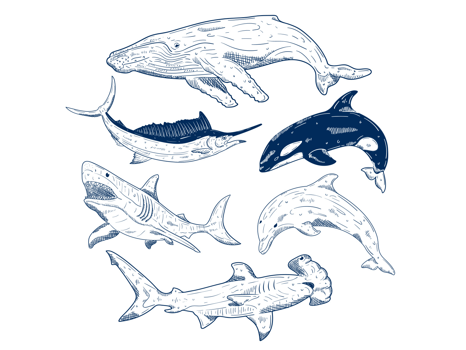 Free Ocean Creatures Sketch Set by Unblast on Dribbble