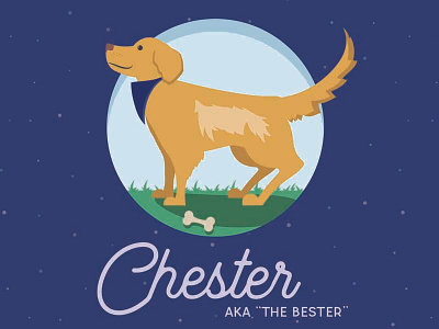Chester Illustration dog flat illustration illustration
