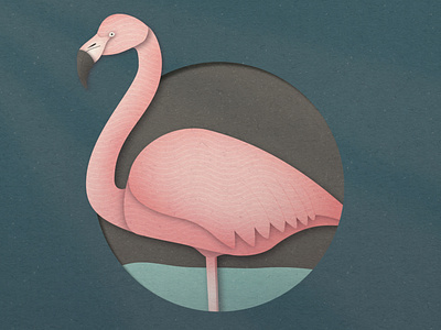 Flamingo 2.5d animal bird colourful exotic flamingo illustration nature paper pink safari texture wildlife
