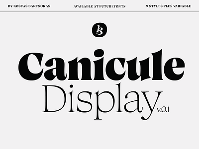 Canicule Display Type Family font serif type type design type family typeface variable variable font