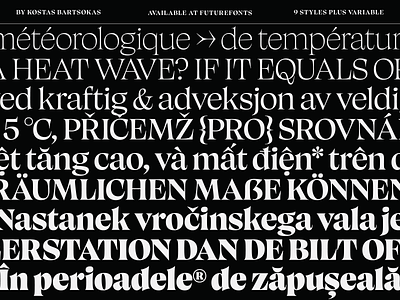 Canicule Display Styles and Languages display font font family serif type design type family typeface variable variable font