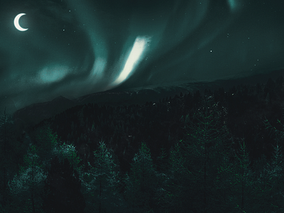 Magic Forest abstract art aurora cover forest logo magic manipulation northern lights photo photoshop