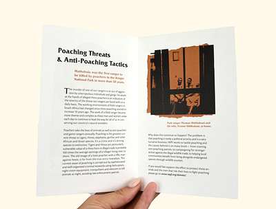 Anti-Poaching Pamphlet booklet design pamphlet design photoshop