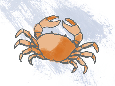 Seafood - Crab animal animals beach book cooking crab fish life sea seafood sketch