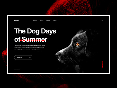 The Dog Days of Summer black concept dark design dog minimal ui uidesign uiux web webdesign website