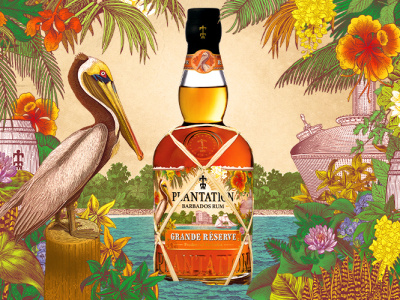 Plantation Rum Grande Réserve bottle brand identity illustration logo packaging design plantation rum rum spirits