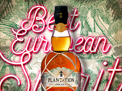 Plantation Rum Xaymaca bottle bottle design brand brand and identity brand creation brand identity design illustration logo packaging packaging design rum spirits typography