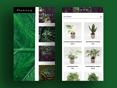 Florista UI Debut flowers flowersui mobile mobile app shopping app ui userexperience ux web design webdesign