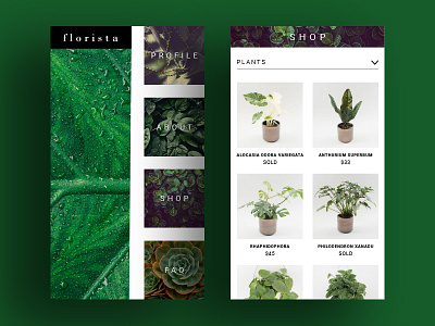 Florista UI Debut