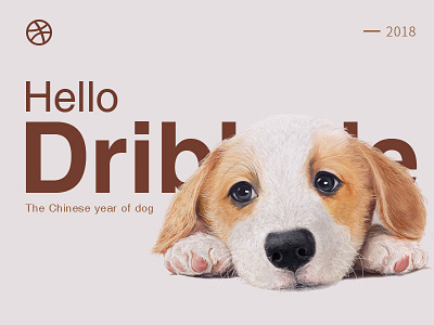 Hello Dribbble dog dribbble hello paint skeuomorphism ui