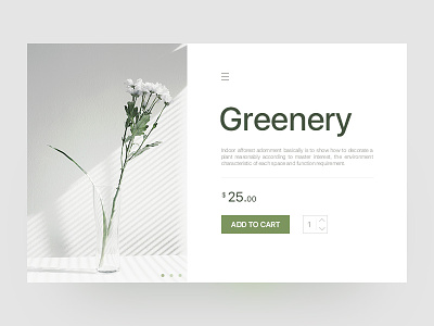 Shopping listing interface design concise design green interface minimalism plant shopping web