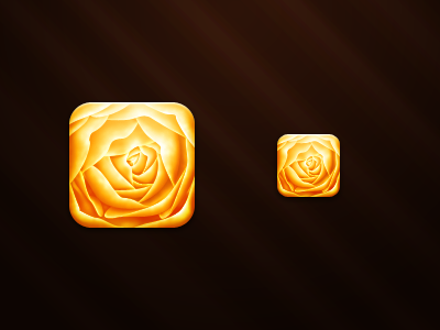 Rose by Wil Nichols on Dribbble