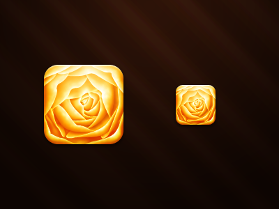 Rose app flower ios ipad iphone orange petals rose