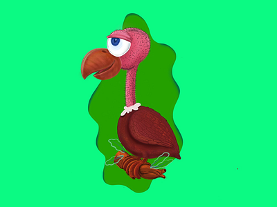 Vulture Bird art bird character designer illustration texture vulture