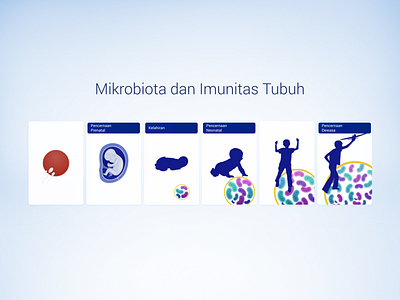 Microbiota and Immunity adobe aftereffects awesome design graphic illustration immunity indonesia microbiota typography ui vector