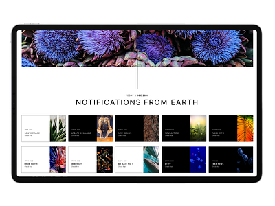 🌎 #DAILY UI49 branding concept dailyui design earth notification ui