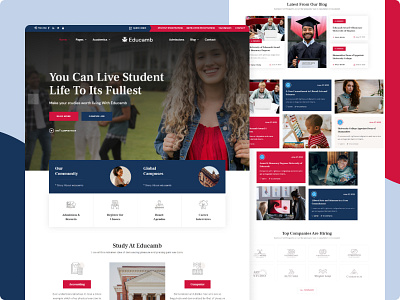 Educamb - LMS Education Web Design academy animation branding classes college course courses e learning education wordpress theme elearning graphic design learning management system lms motion graphics school teacher teaching training ui university