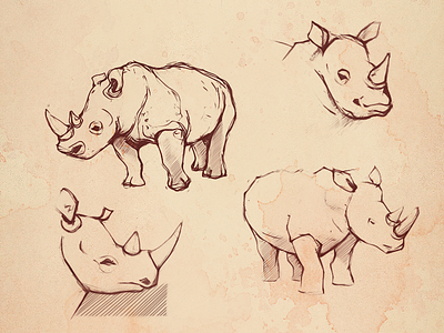 Sketch animal art branding design drawing graphic design graphics identity illustration paper pencil rhino sketch sketches texture