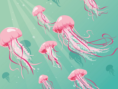 Jellyfish adobe illustrator animals childrens book childrens illustration illustraion jellyfish kids illustration ocean preschool sea sea creatures underwater vector