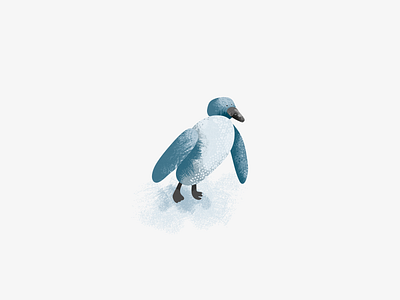 Bird Penguin Character