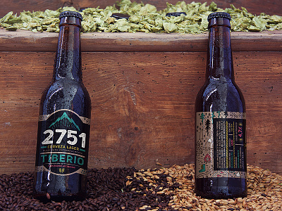 2751 Craft Beer Label Design beer cerveza colorful craft design doodles etiqueta graphic design illustrator label packaging photoshop