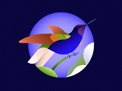 Hummingbird bird bird illustration gradient illustration minimal nature illustration paradise vector
