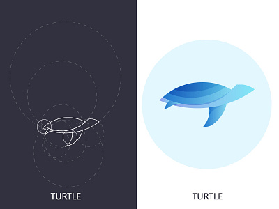 Turtle Logo branding concept flat design graphic design logo design minimal