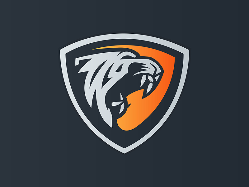 Logo Design with shield by Mahaveer Sharma on Dribbble